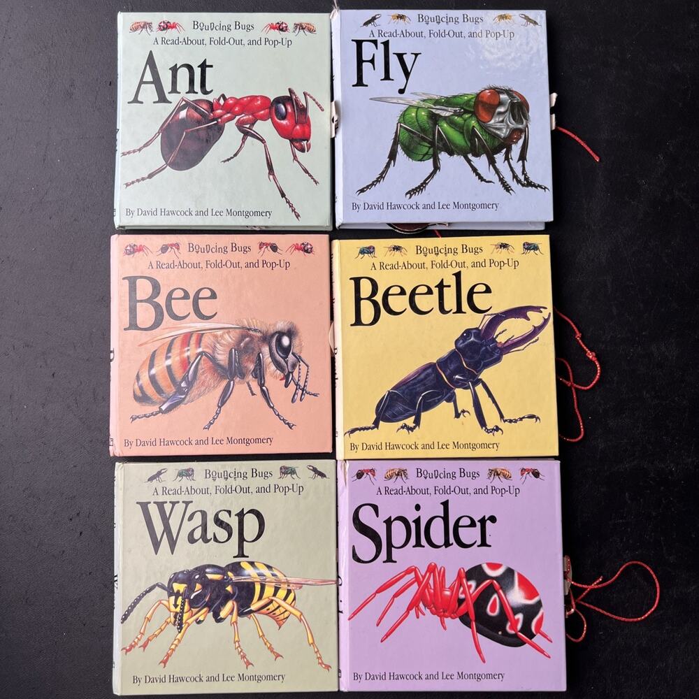 BOUNCING BUGS FOLD OUT POP UP BOOKS Lot of 6 Ant Fly Bee Beetle Wasp Spider Used
